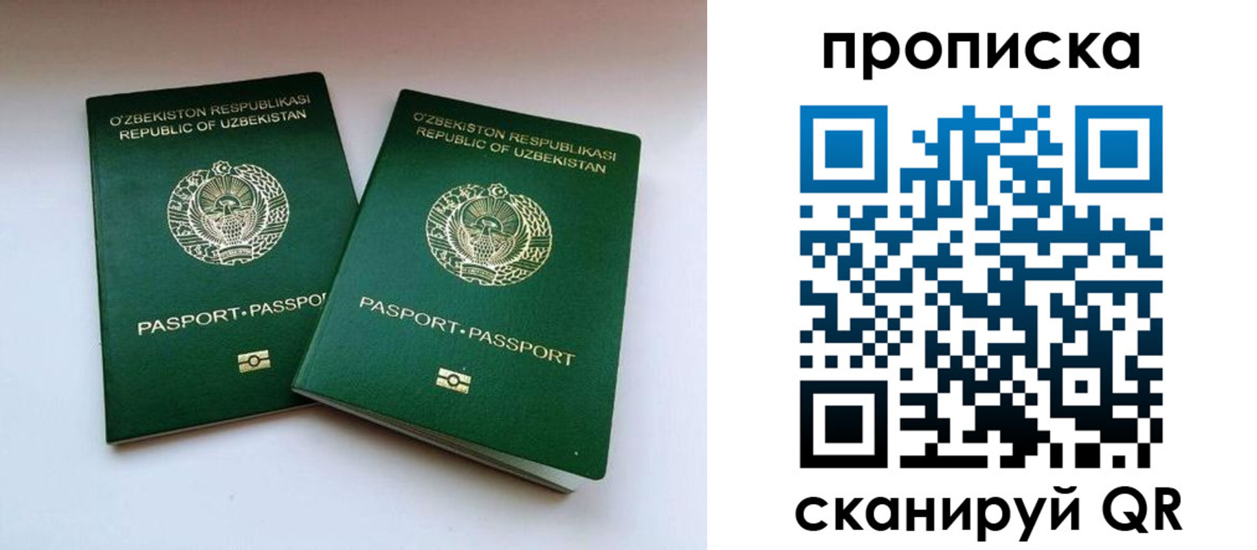 прописка поиск в Дюртюли